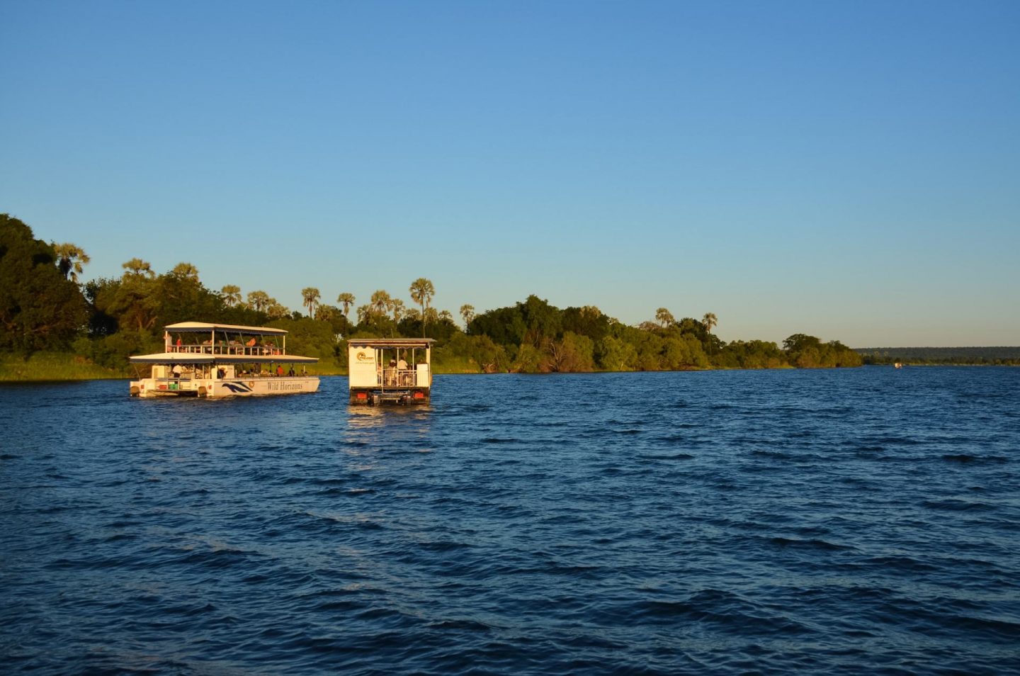 zambezi river cruise