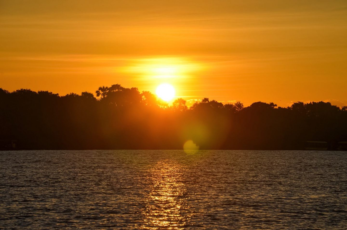 zambezi sunset