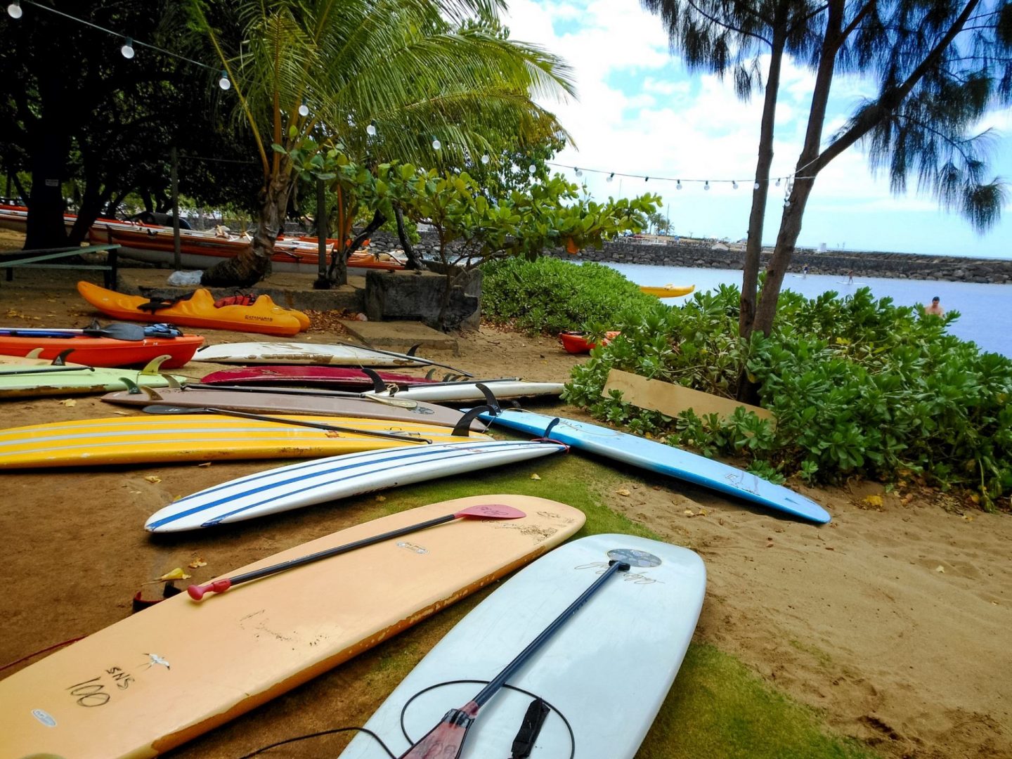 hawaii north shore
