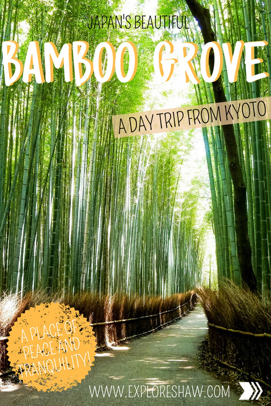 WANDERING AROUND ARASHIYAMA'S BAMBOO GROVE