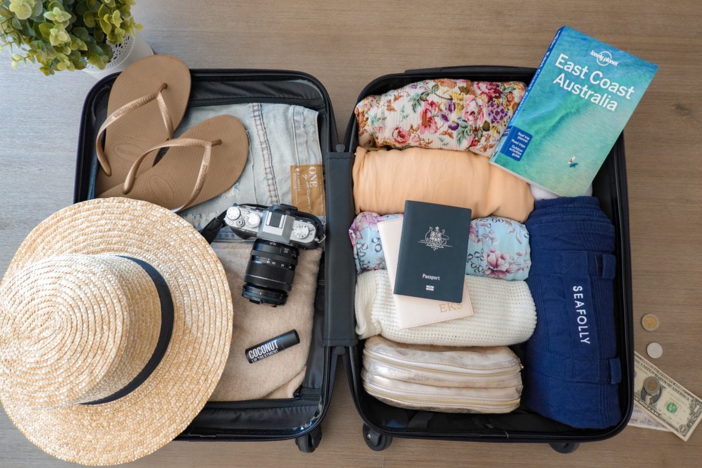 carry on luggage