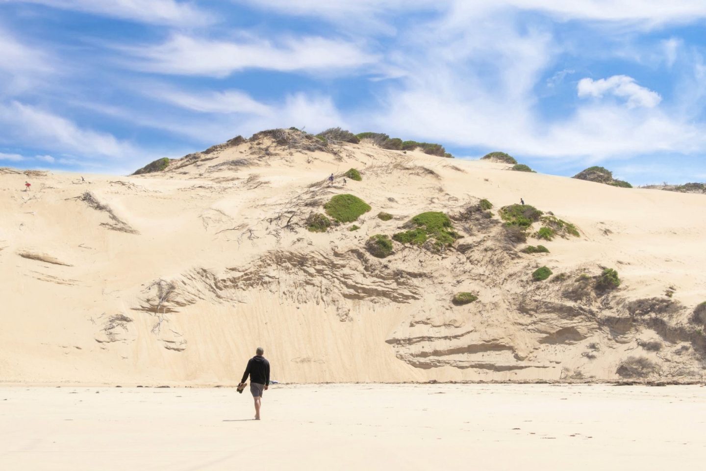 wilsons promontory