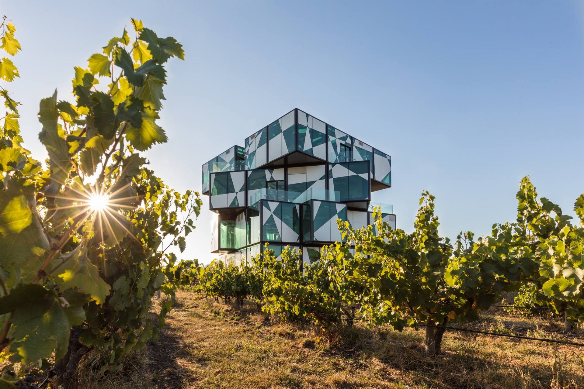 d'arenberg wines