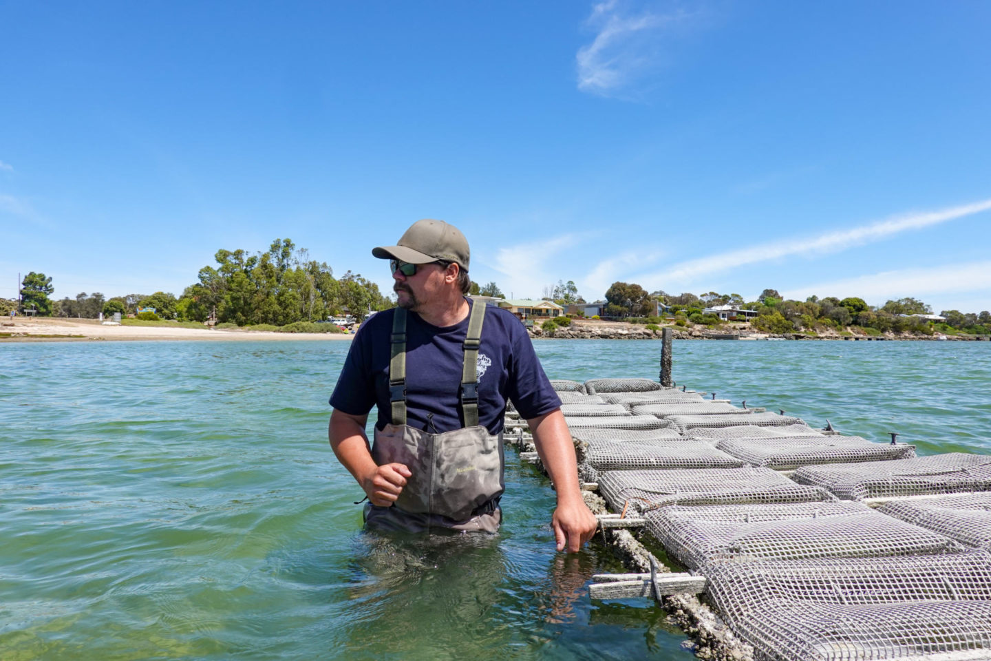 coffin bay oyster farm tour