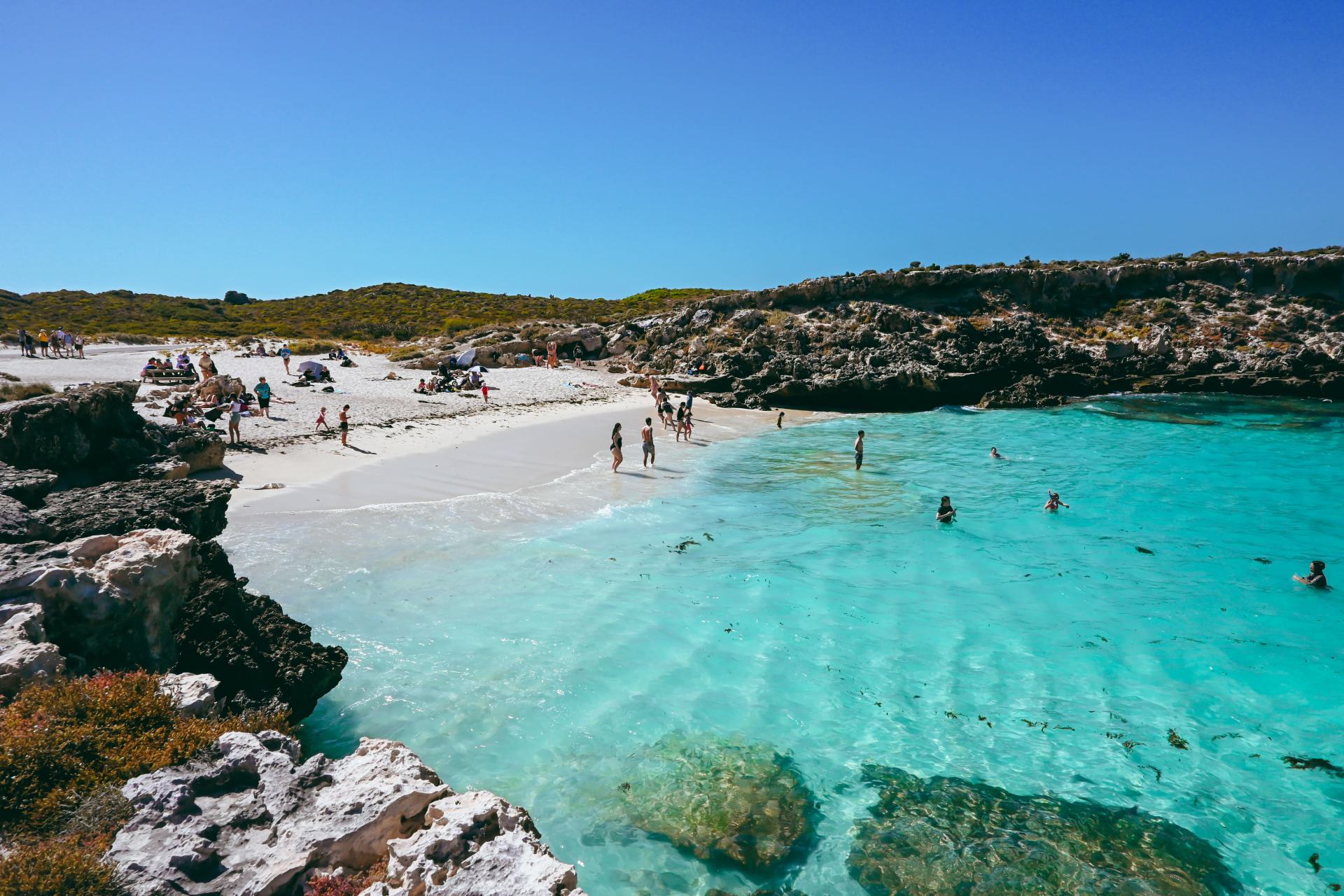 little salmon bay