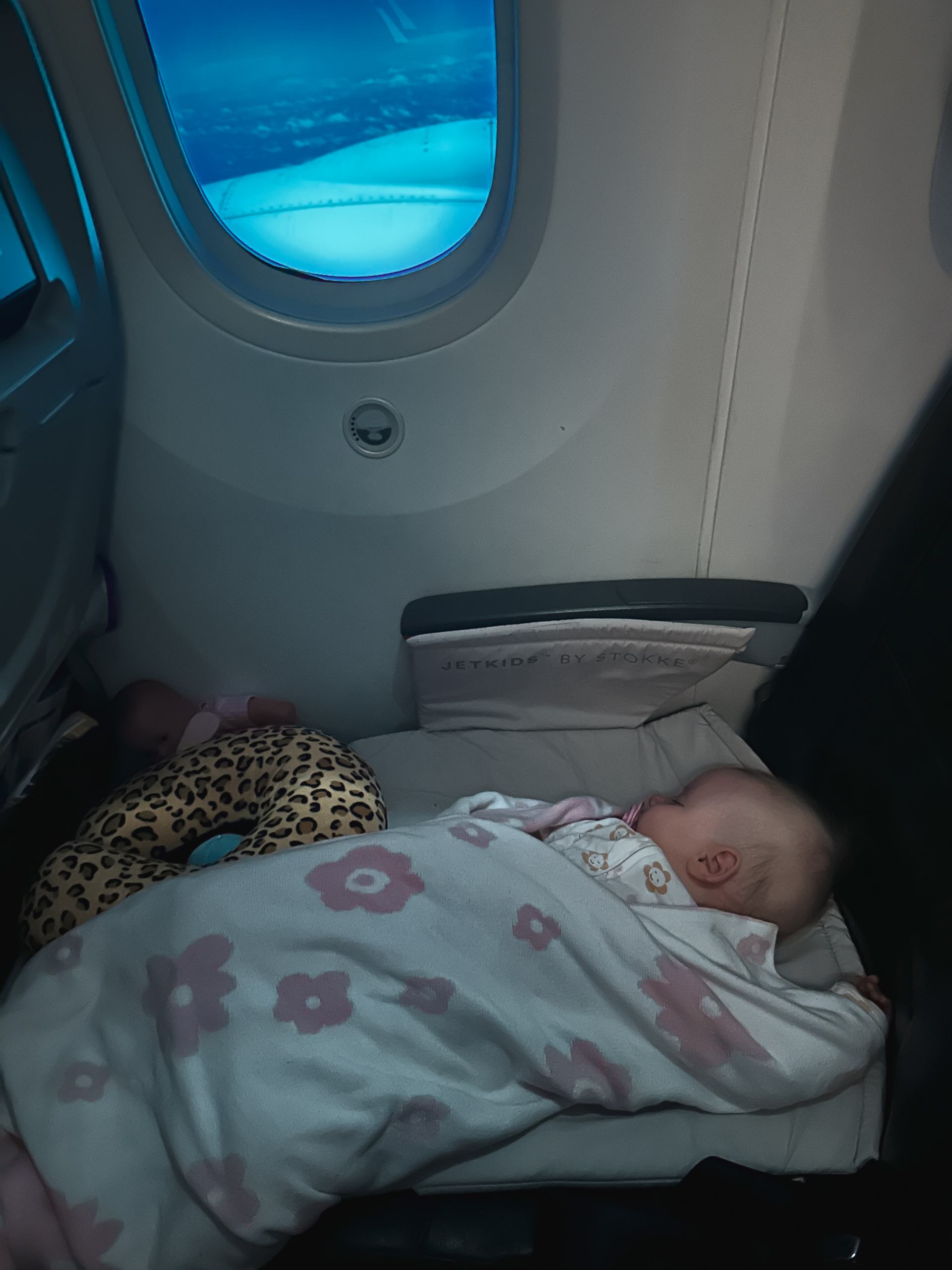 baby on a plane 