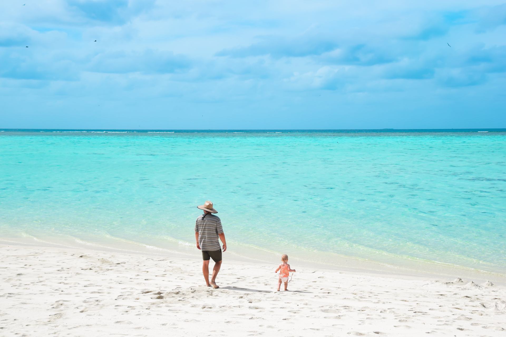 turtle hatchling season on heron island
