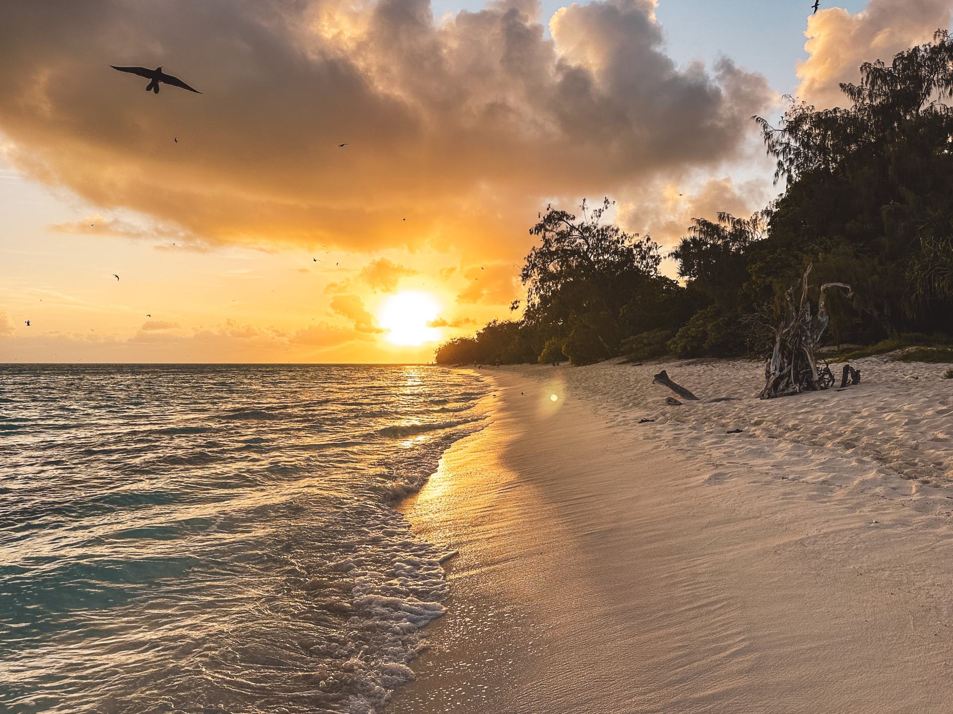 heron island sunset