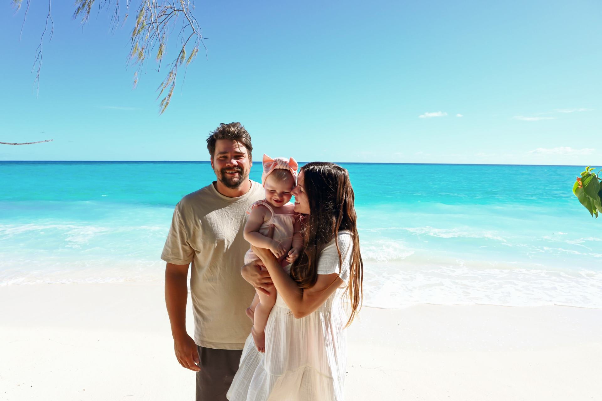 turtle hatchling season on heron island