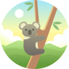 013-koala