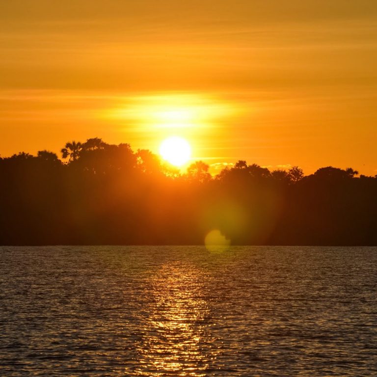 zambezi sunset