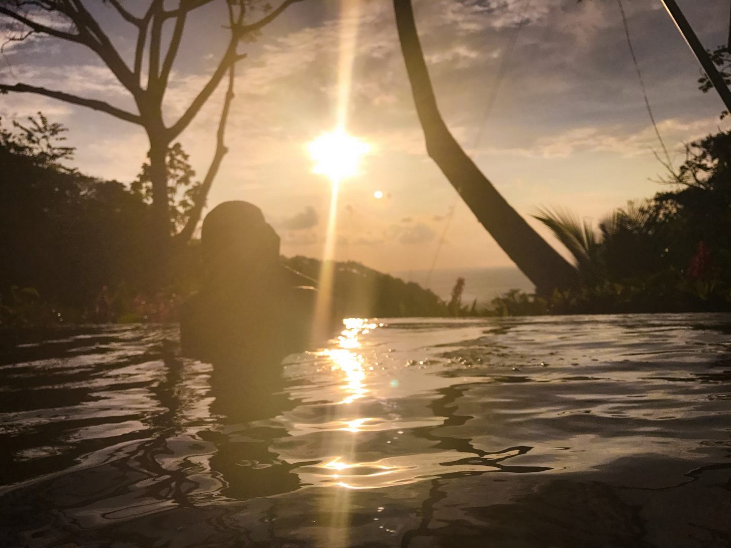 An Essential Guide to Manuel Antonio Explore Shaw