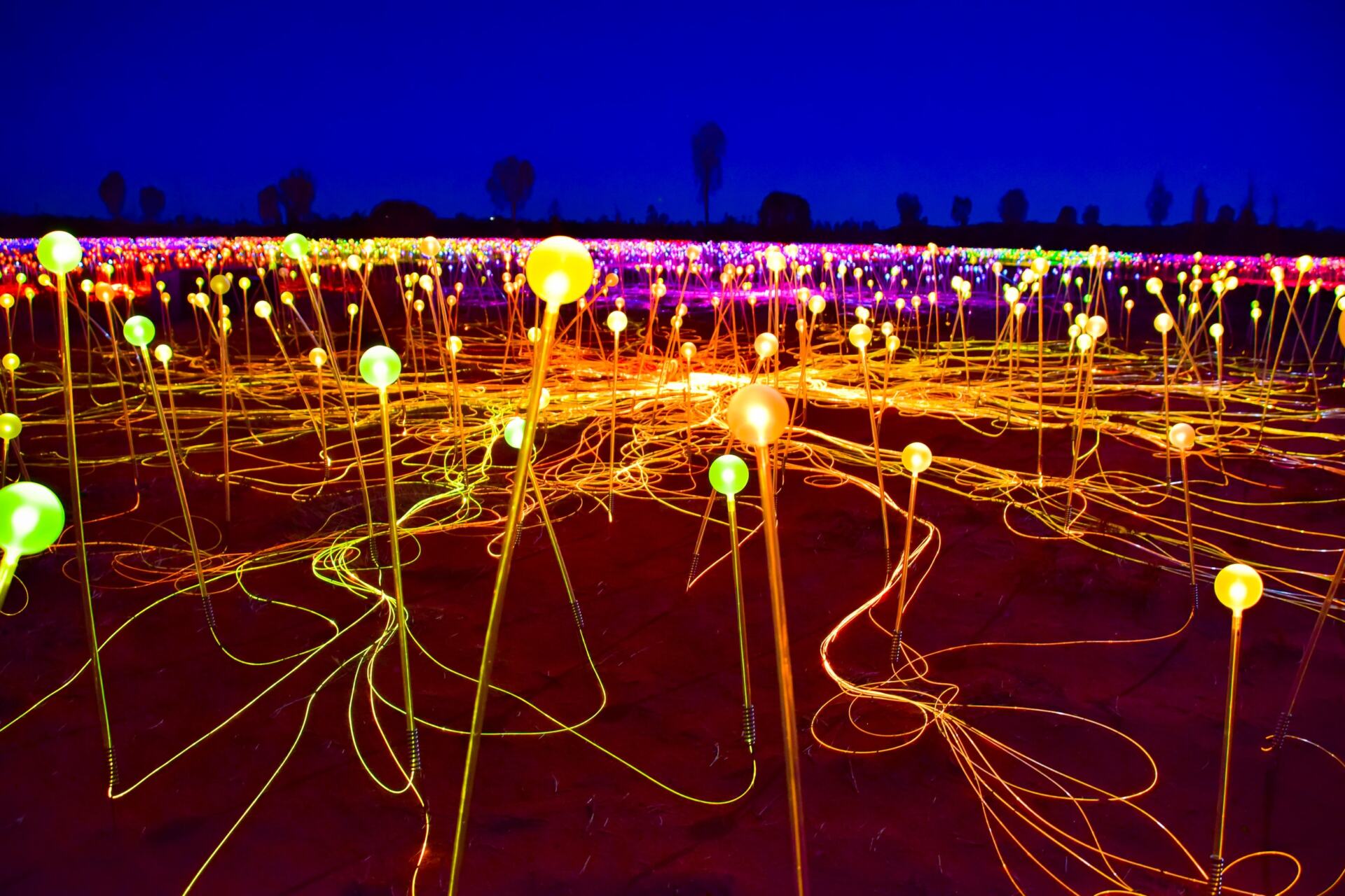 A Magical Night at the Field of Light at Uluru Explore Shaw