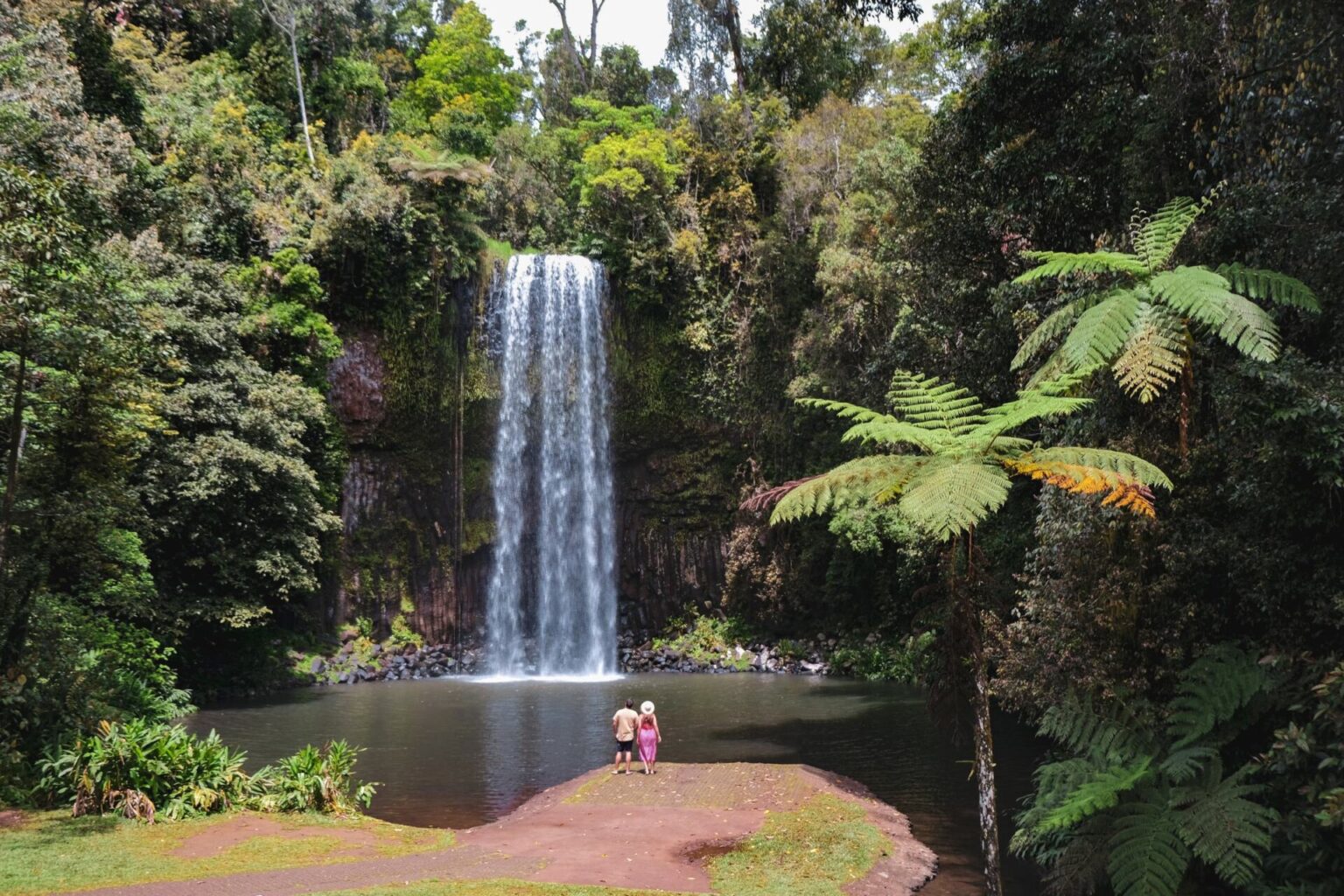 A Guide To The Atherton Tablelands Waterfalls Explore Shaw