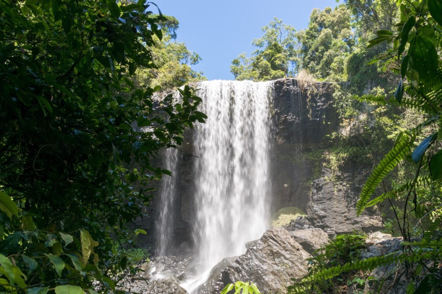 A Guide To The Atherton Tablelands Waterfalls Explore Shaw