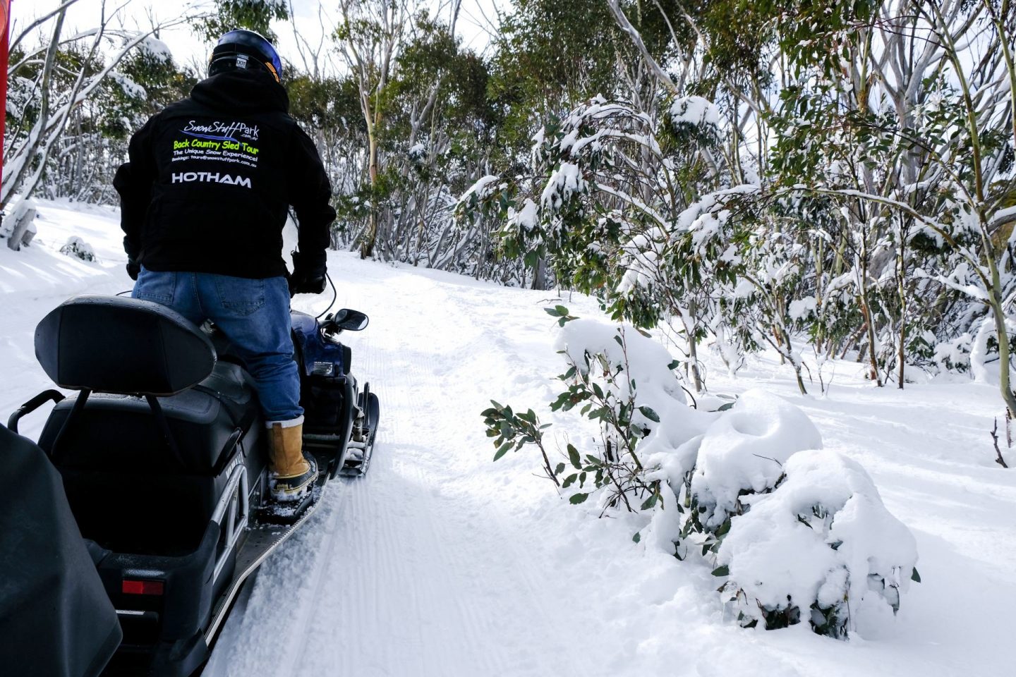 10 Experiences You Can Have at Mount Hotham Explore Shaw