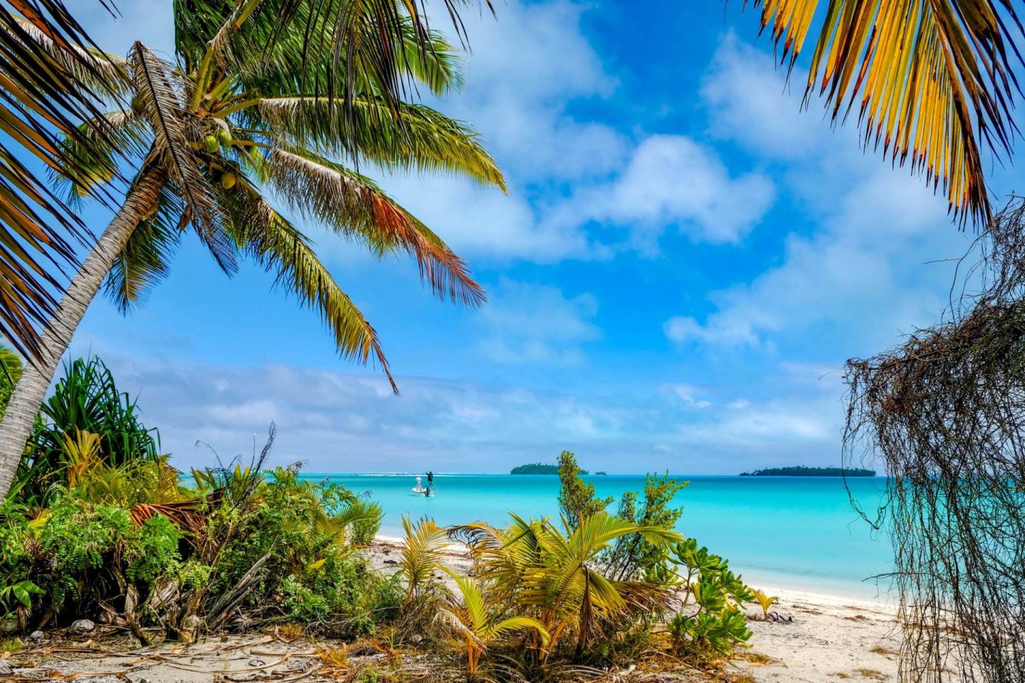 10 Facts You Didn’t Know About The Cook Islands - Explore Shaw