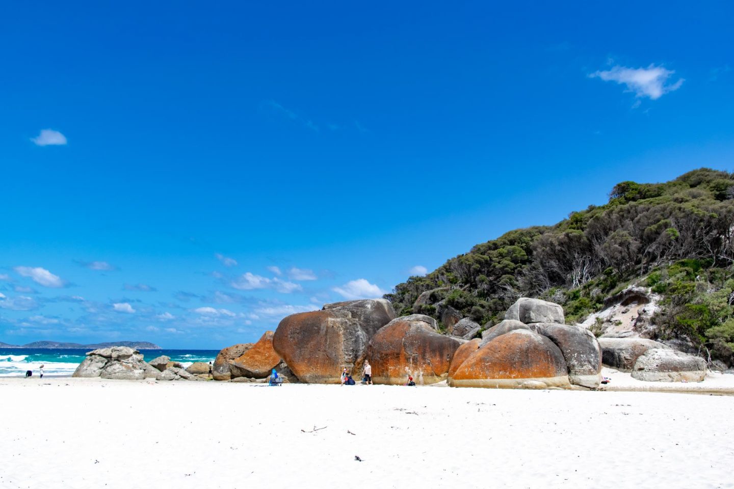 Your Complete Guide to Wilsons Promontory National Park Explore Shaw