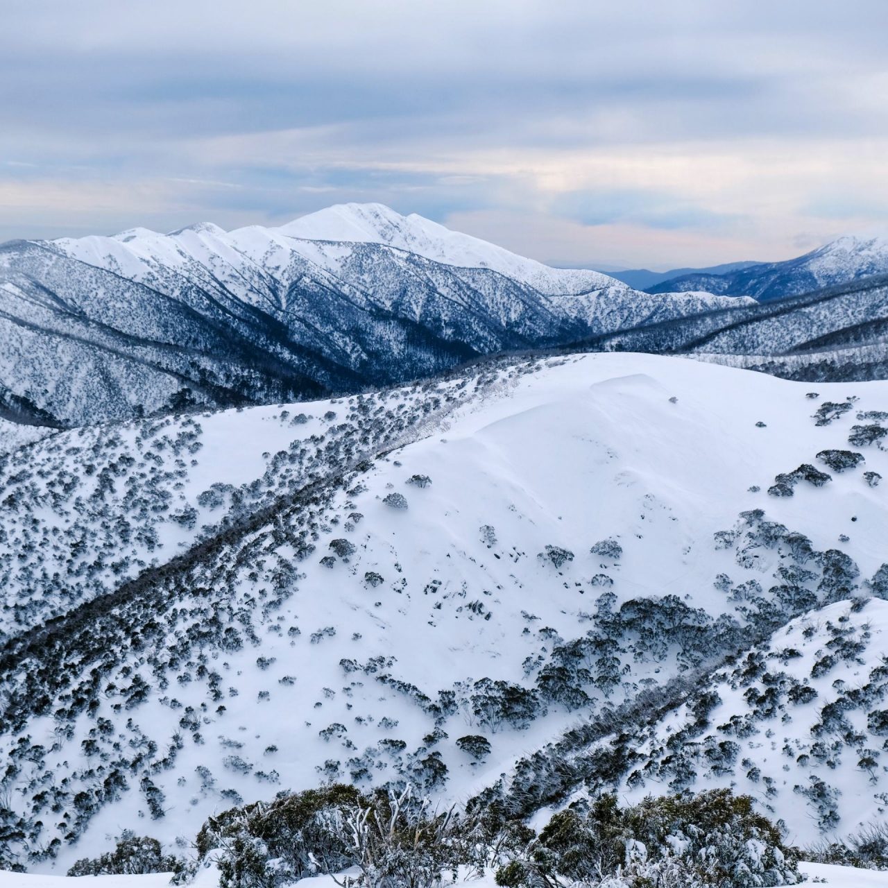 What To Do In Melbourne This Winter Explore Shaw