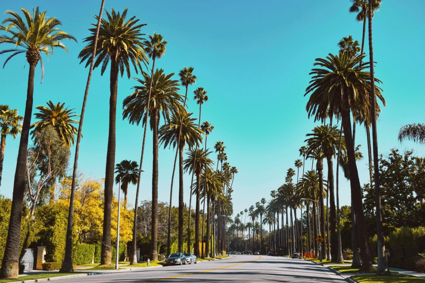Beverley Hills
