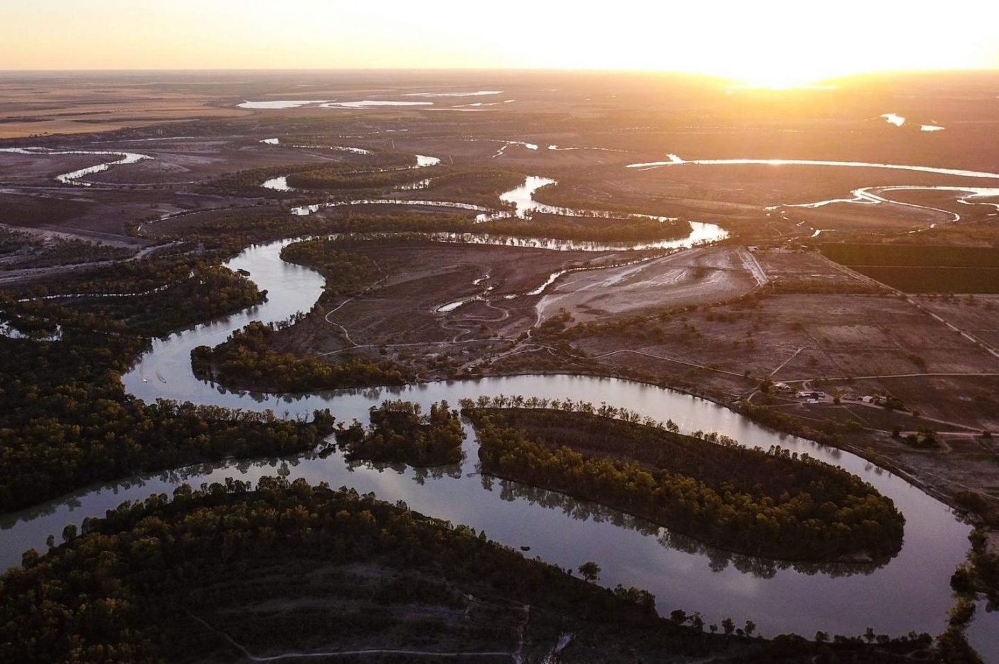 Renmark