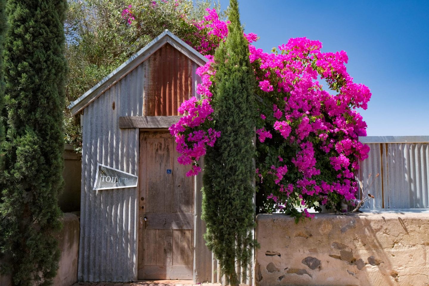 A Guide To The Best Wineries In McLaren Vale | Explore Shaw