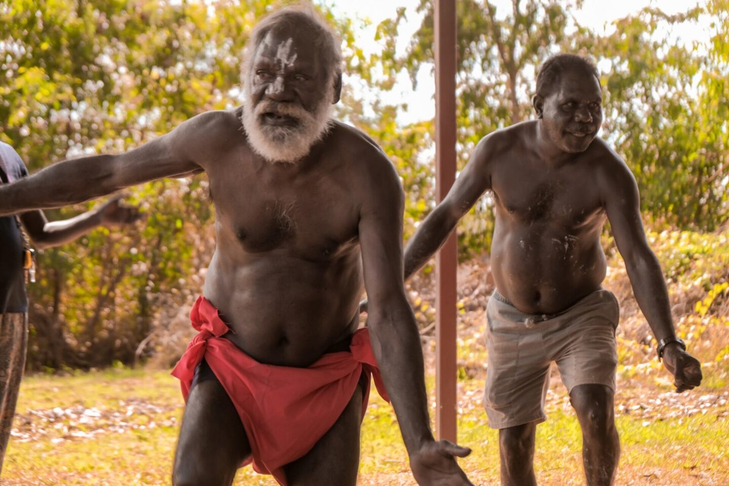 tiwi by design day tour