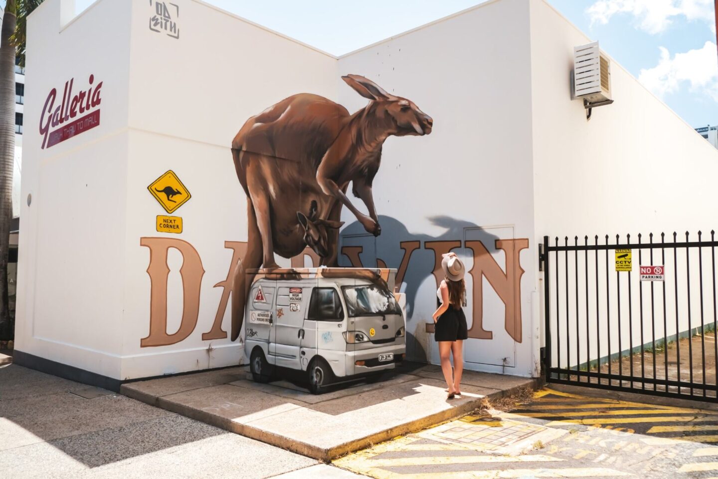 darwin street art